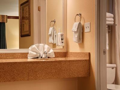 Western Garden Hotel 3*